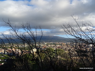 stello di Paterno-07-12-2020 09
